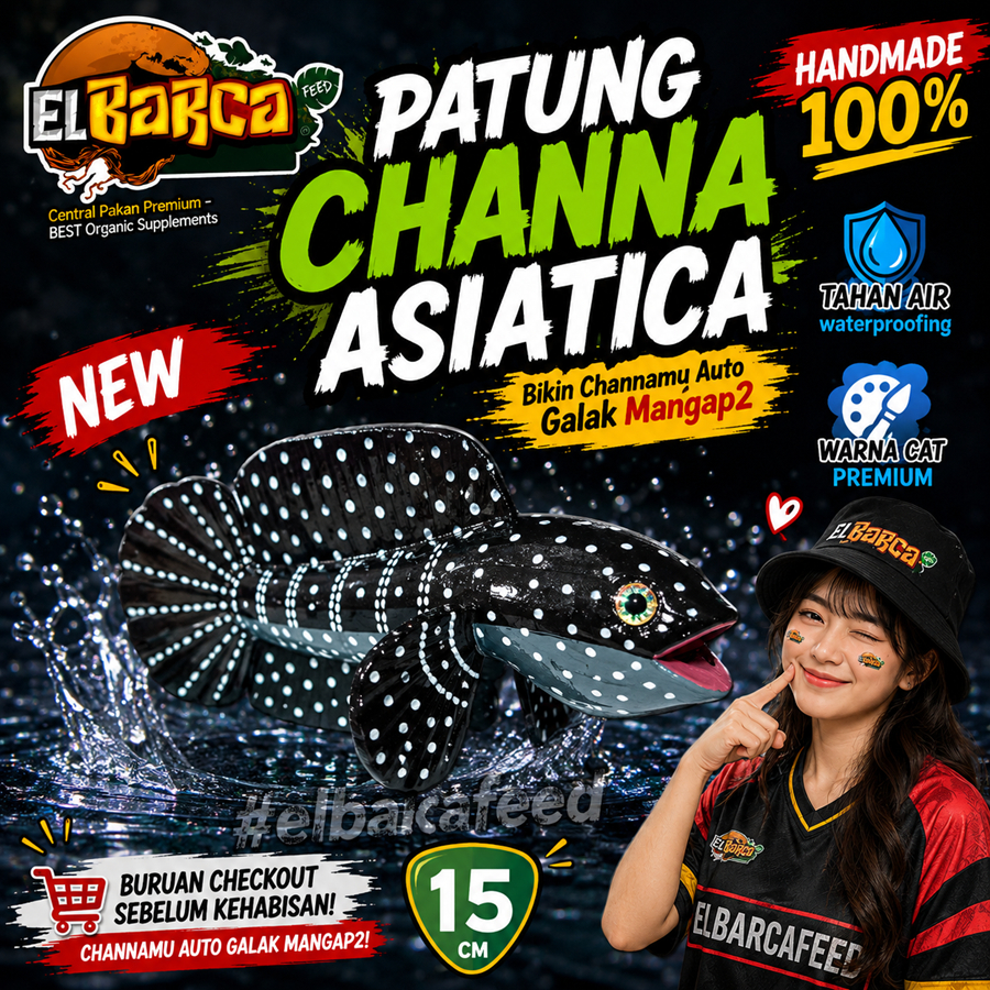 PATUNG CHANNA / REPLIKA CHANNA ASIATICA WS model Flaring Mangap-mangap  (HANDMADE LIMITED)