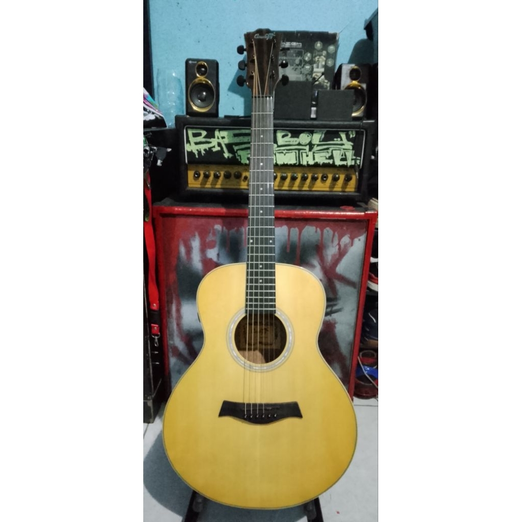 guitar akustik transkustik cowboy