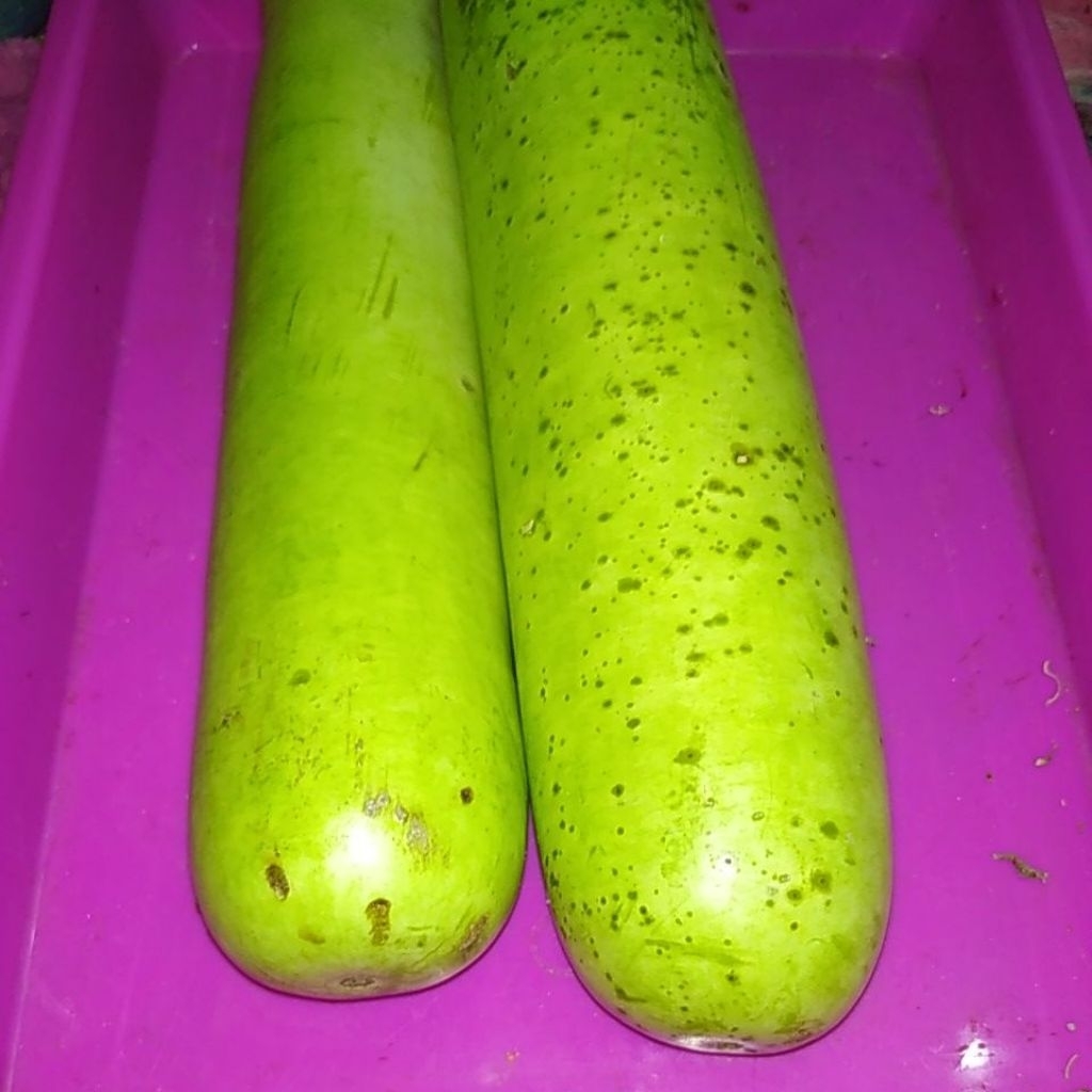 buah Bloceng Blonceng sayur petik segar