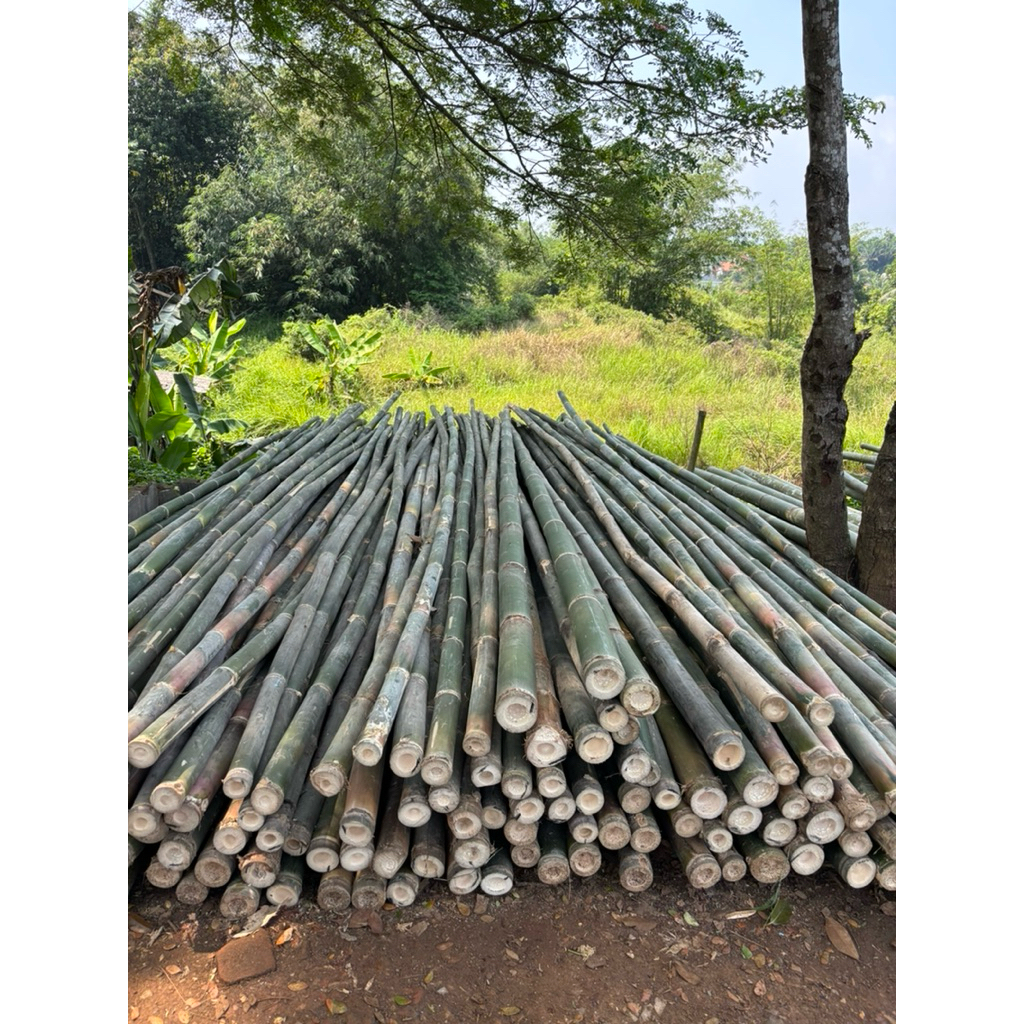 BAMBU STEGER PROYEK