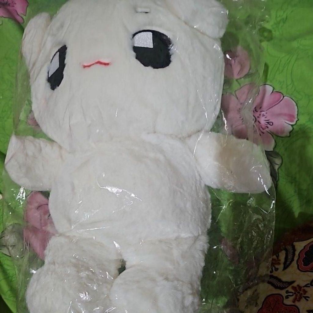 BIG TYONGYA @nudicat nim