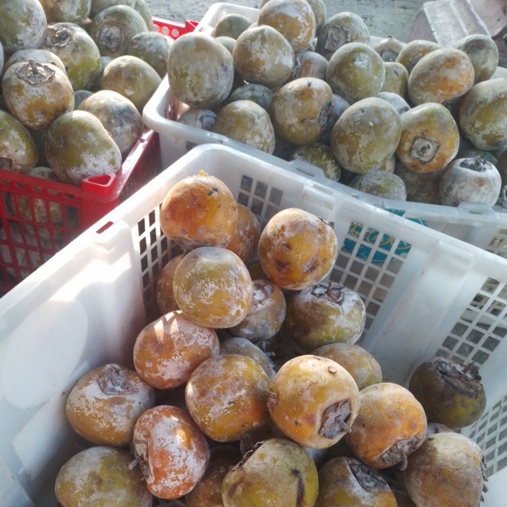 PROMO KESEMEK 1 KG