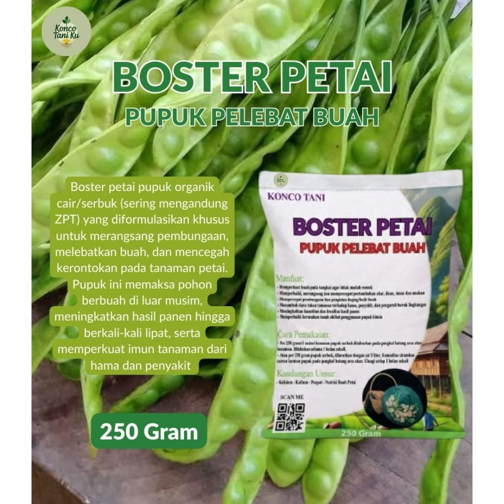 booster petai/nutrisi petai agar cepat berbuah