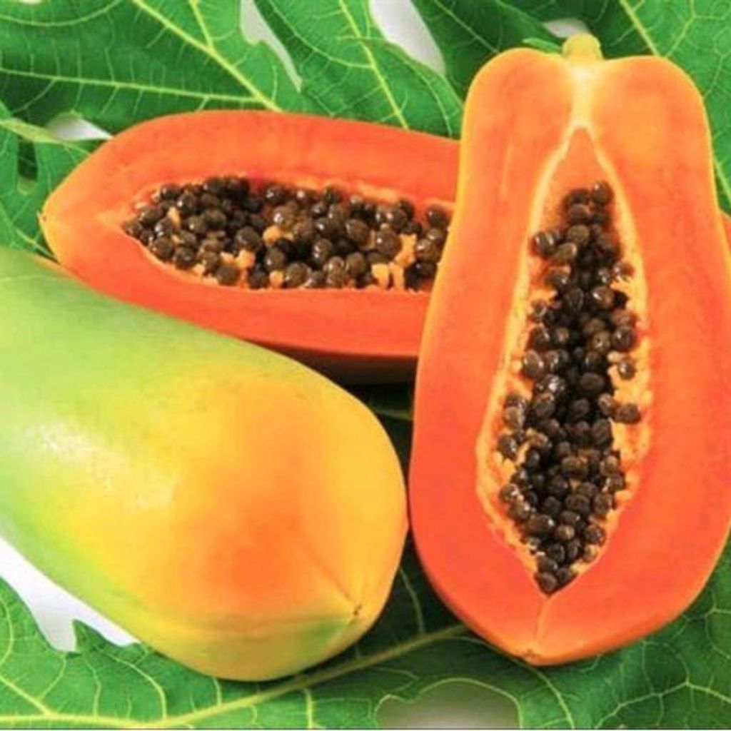 buah pepaya asli buah pepaya manis