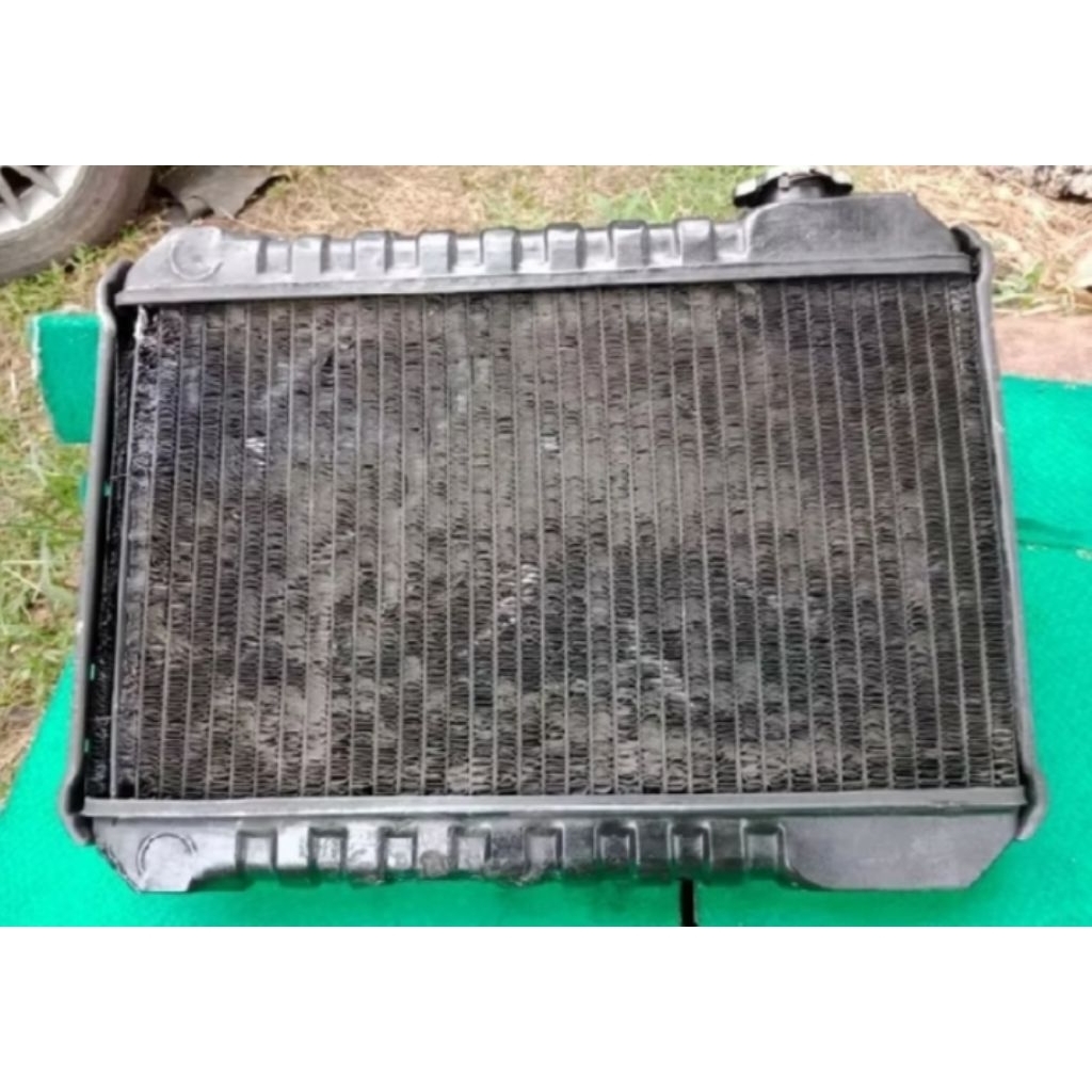Radiator Carry 1.0 St100 Copotan Original