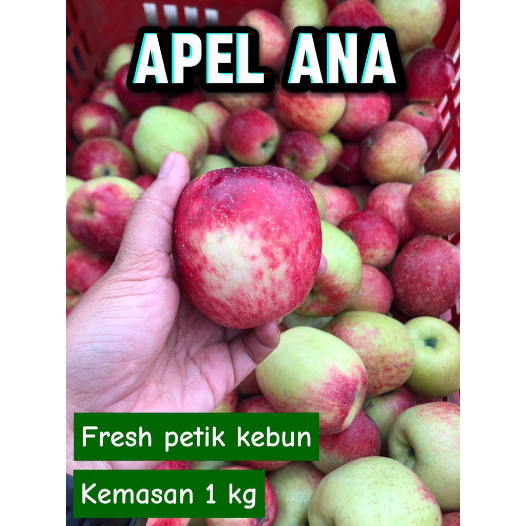 APEL ANA 1 KG