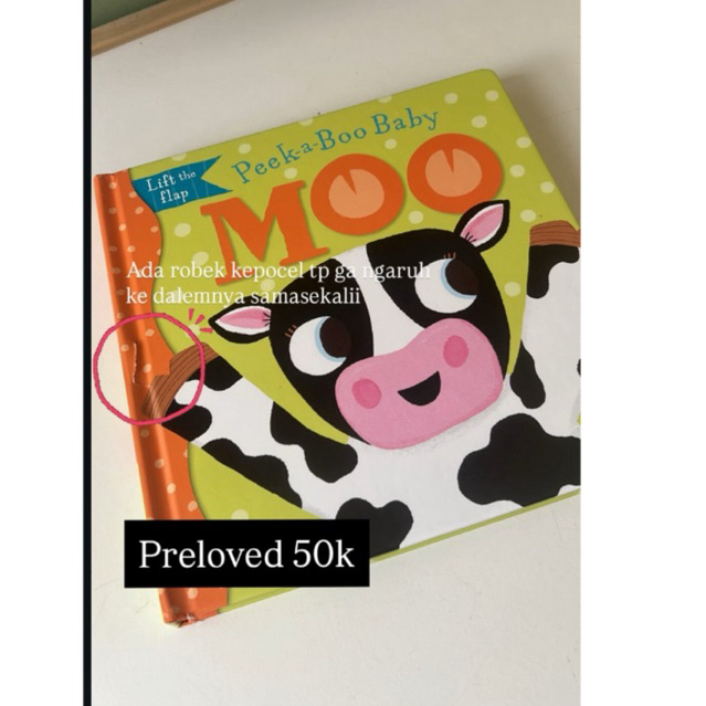 Preloved buku Lift a Flap Peekaboo Moo