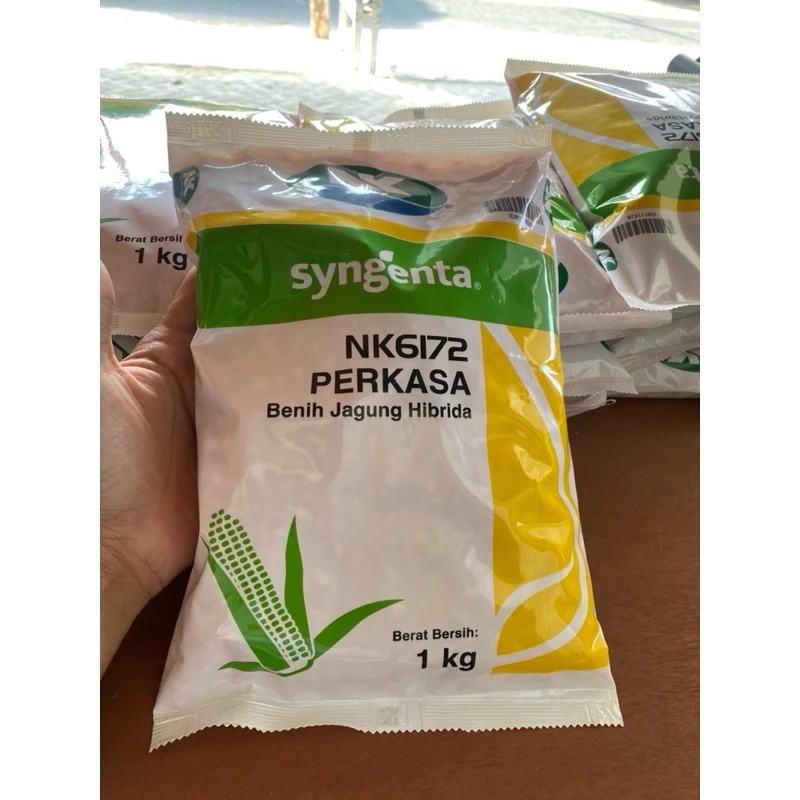 EXP 2027 Benih JAGUNG NK PERKASA 6172 1KG #NK Perkasa #jagung perkasa#bibit jagung nk perkasa