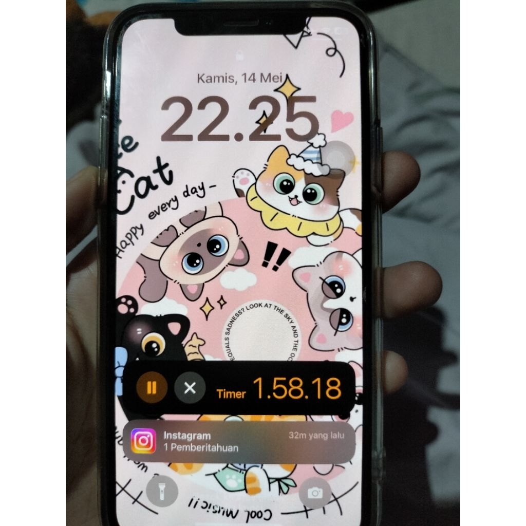 iPhone X, 256 GB, ibox