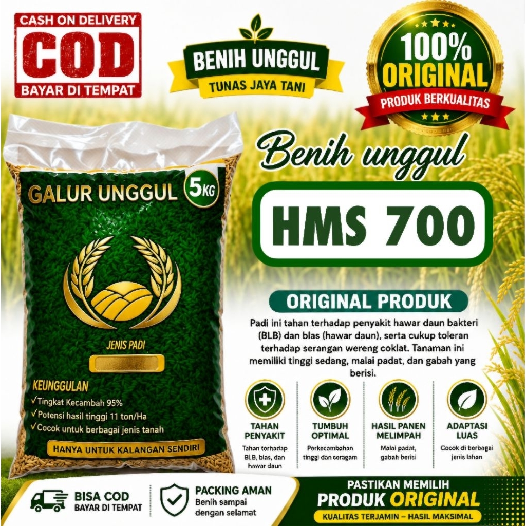 benih padi HMS 700