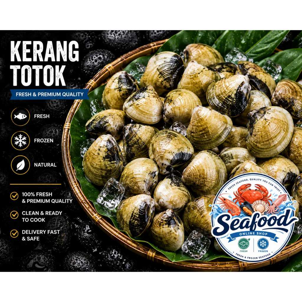 Kerang Totok Jimbaran 1kg Fresh / Beku Sedang - Berkualitas - Bergaransi