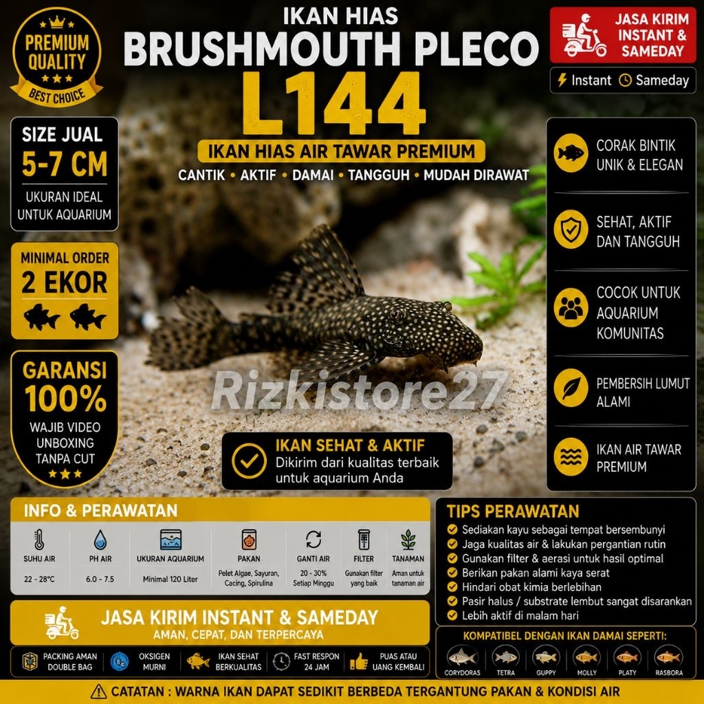Ikan Hias Brushmouth Pleco L144 Size 5-7 Cm Pleco Pembersih Lumut Aquarium Aquascape