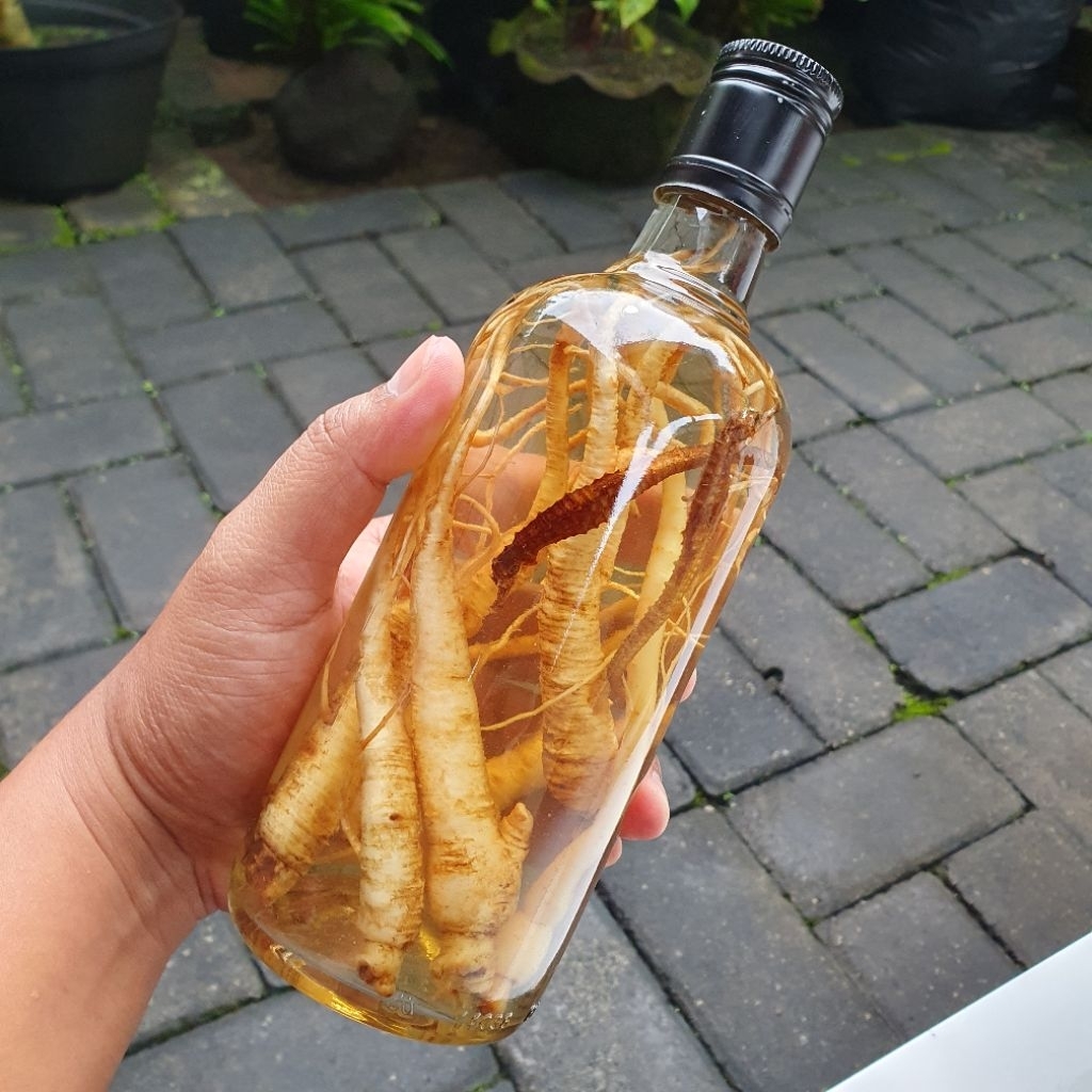 Botol Kaca 500ml ginseng korea kudalaut dengan Penutup Rapat Anti Bocor