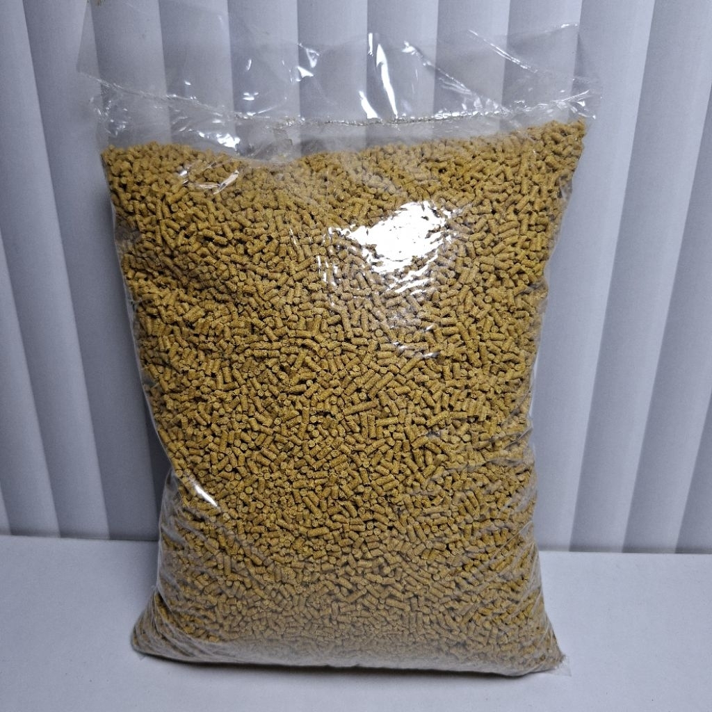 PUR/VOER KUNING PAKAN BURUNG KILOAN