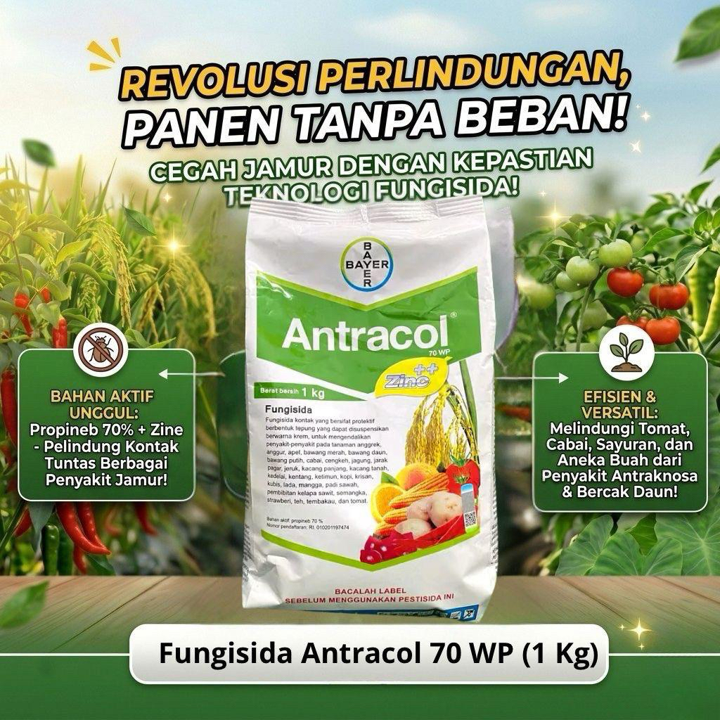 Antracol 1 Kg