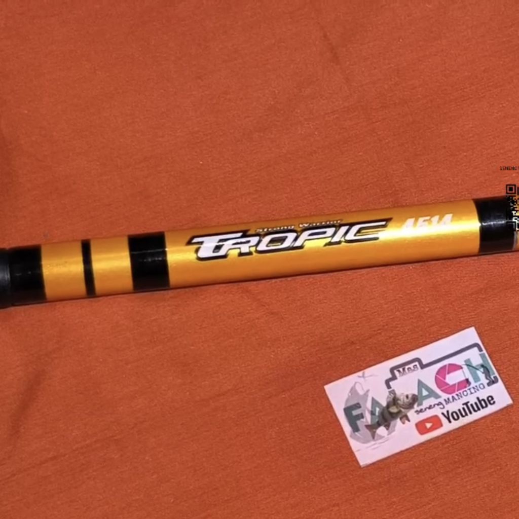 PANCING TEGEK RUAS PENDEK CENTRO TROPIC ORIGINAL P.450