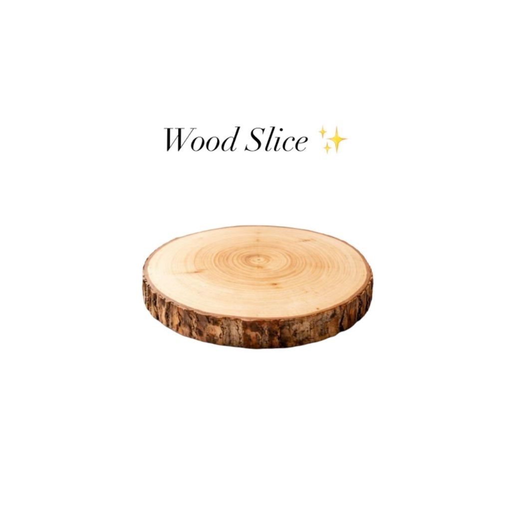 Wood Slice Tatakan Kayu Potongan Kayu