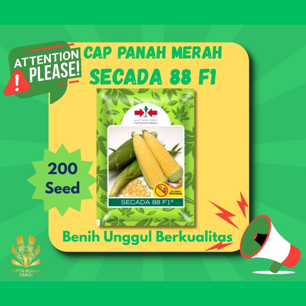 Benih Jagung Manis SECADA 88 F1, 200 Seed