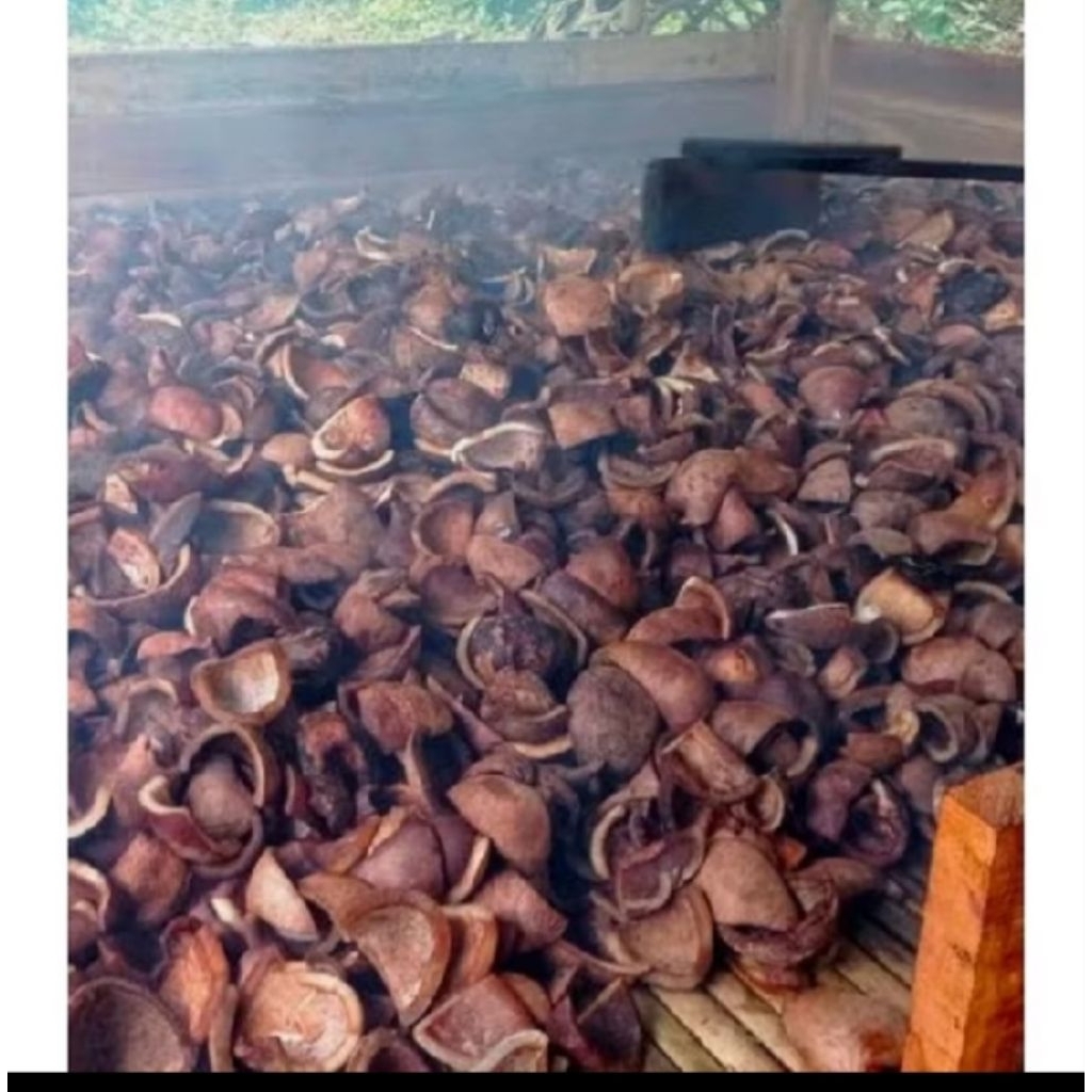 kelapa kering kelapa kopra bahan herbal