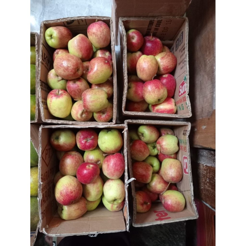 APEL FRESH JENIS ANA BERAT 1KG MURAH