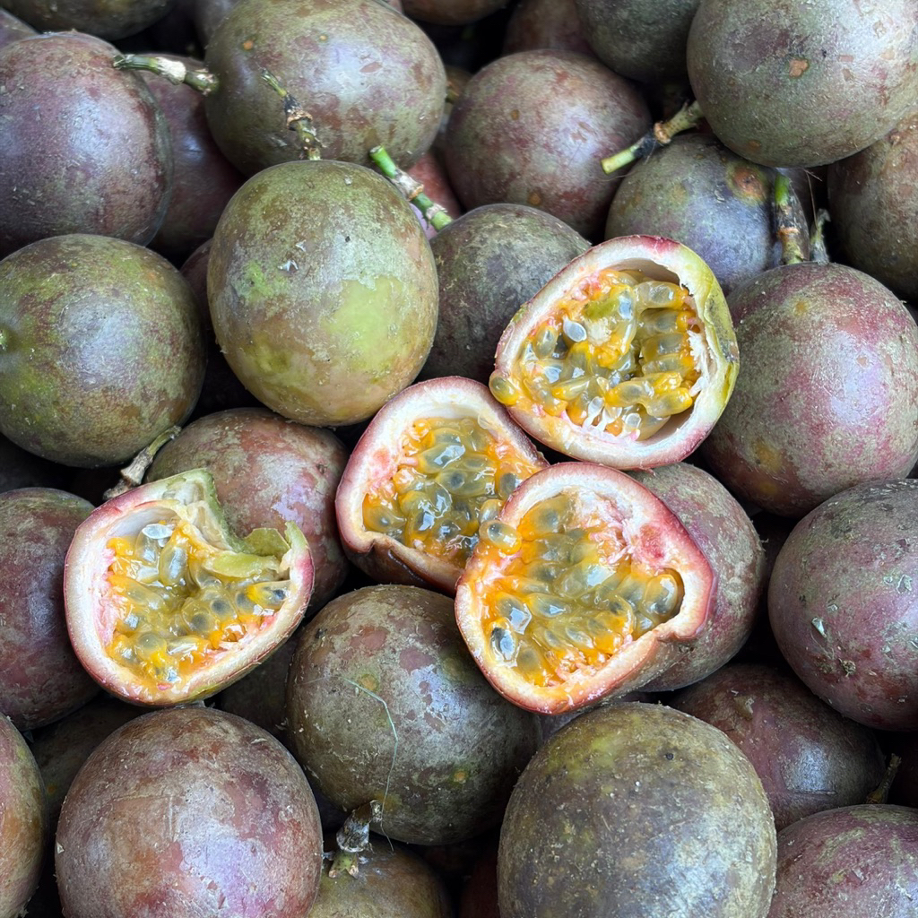 MARKISA FRESH ASEM UNTUK JUS
