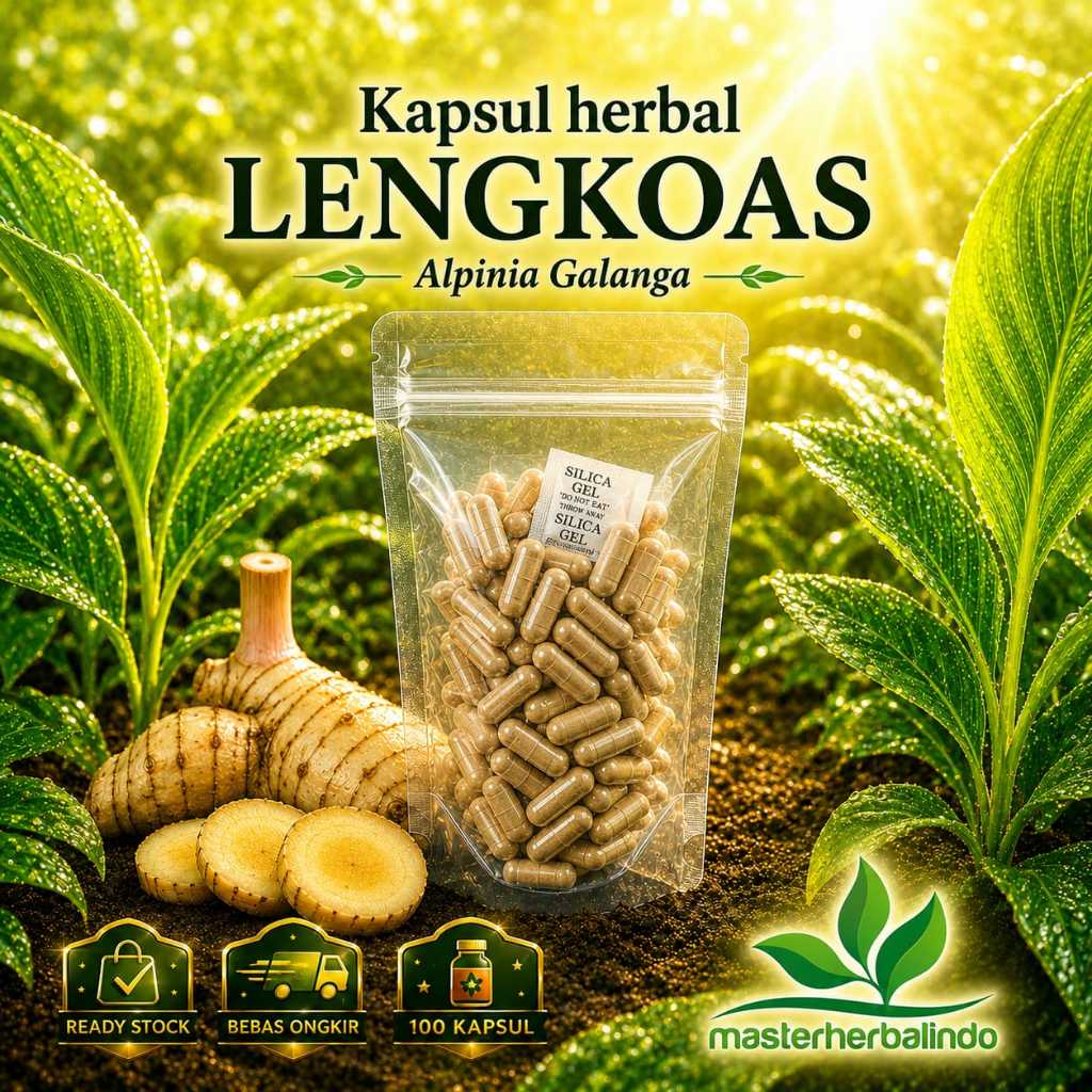 Kapsul Curah Herbal LENGKUAS 100 Kaps Rempah Alami Penghangat Tubuh