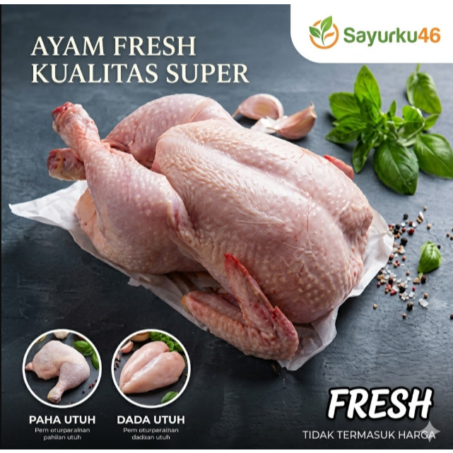 Ayam Utuh Broiler Segar / Daging Paha Utuh -Dada Utuh Fresh Per Pcs
