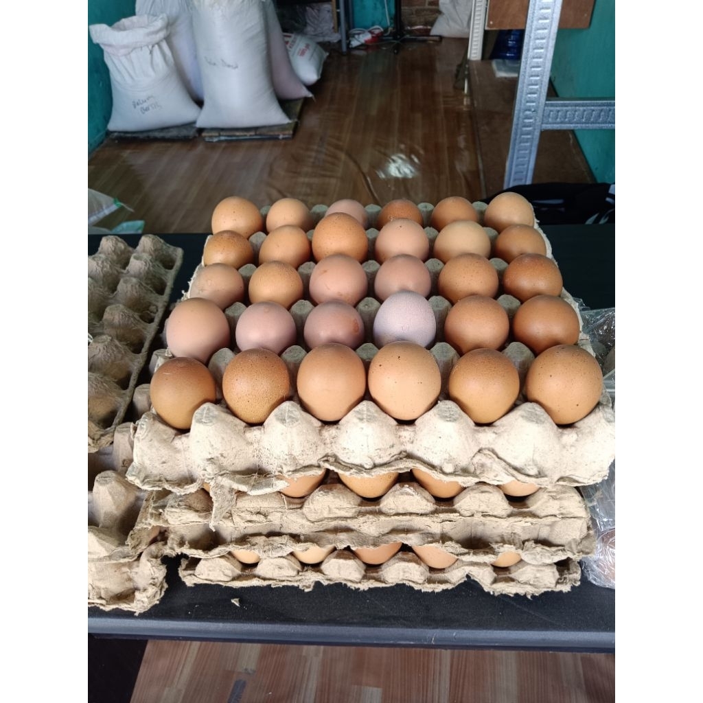 Telur Ayam 1 Rak