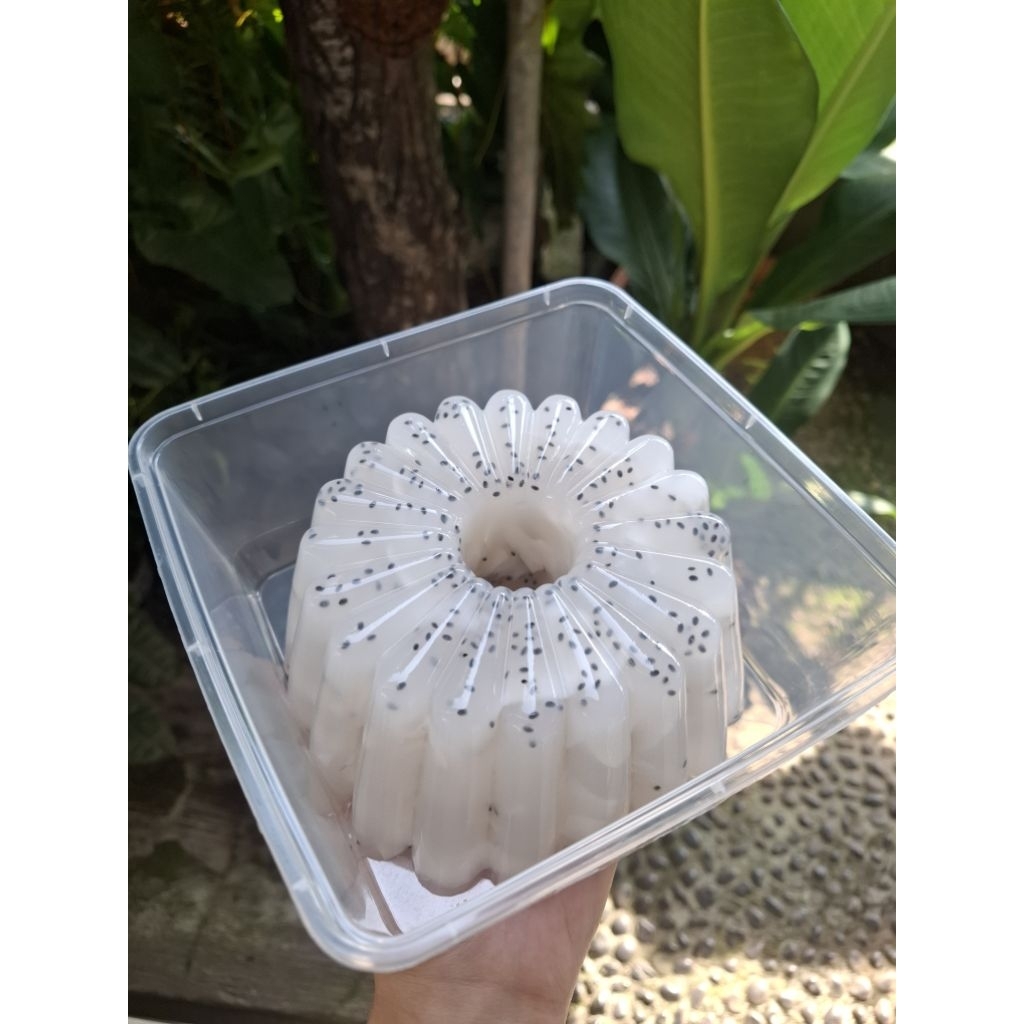 Puding Kelapa Muda Selasih, Kelapa muda Asli