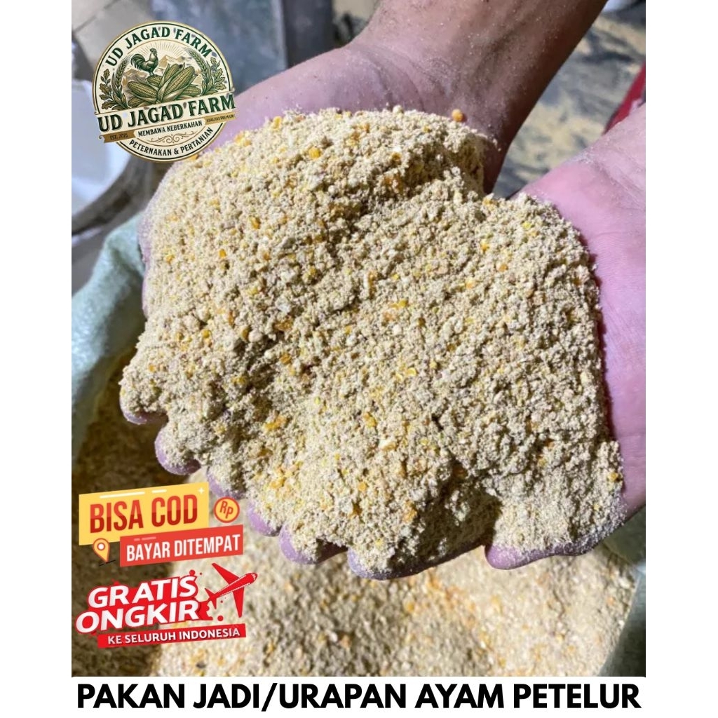 PAKAN AYAM PETELUR 50 KG PAKAN JADI TERNAK AYAM PETELUR TAKARAN SUDAH SESUAI