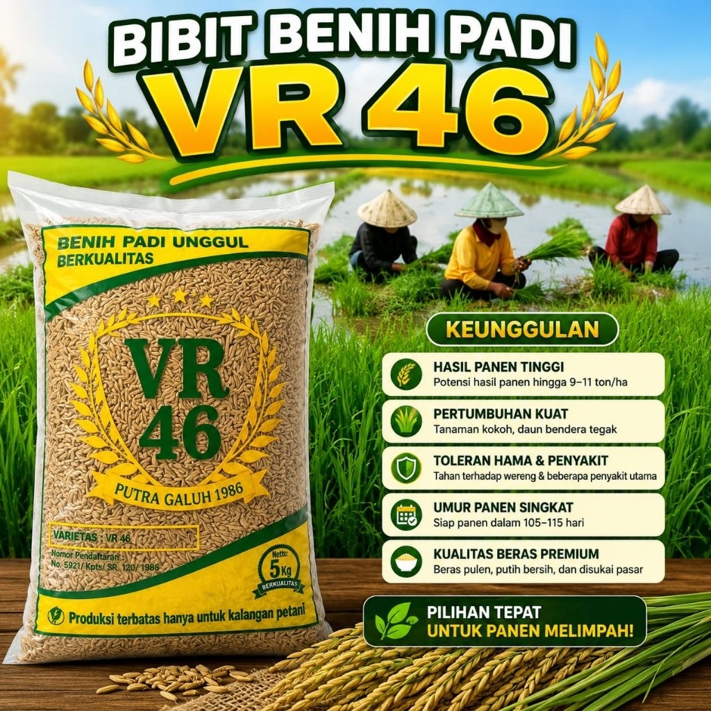 BENIH PADI VR 46 SUPER UNGGUL ORIGINAL