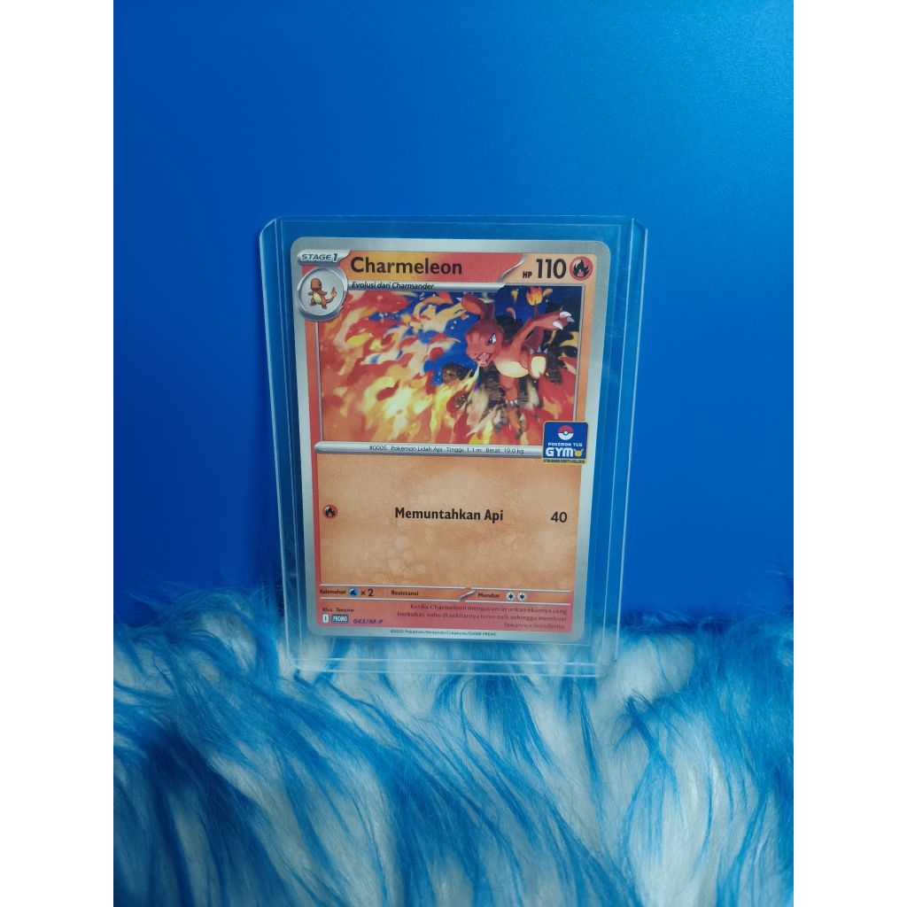 Kartu Pokemon - Promo GYM Charmeleon