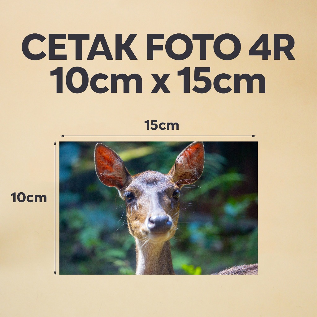 Cetak Foto 4R Doff 10x15