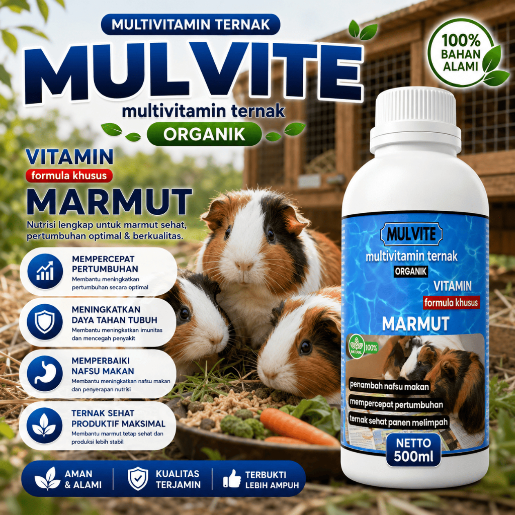 MULVITE Vitamin Probiotik Vitamin Suplemen Marmut Hias Anggora Fuzzy Lop Holland Netherland Dwarf Ma