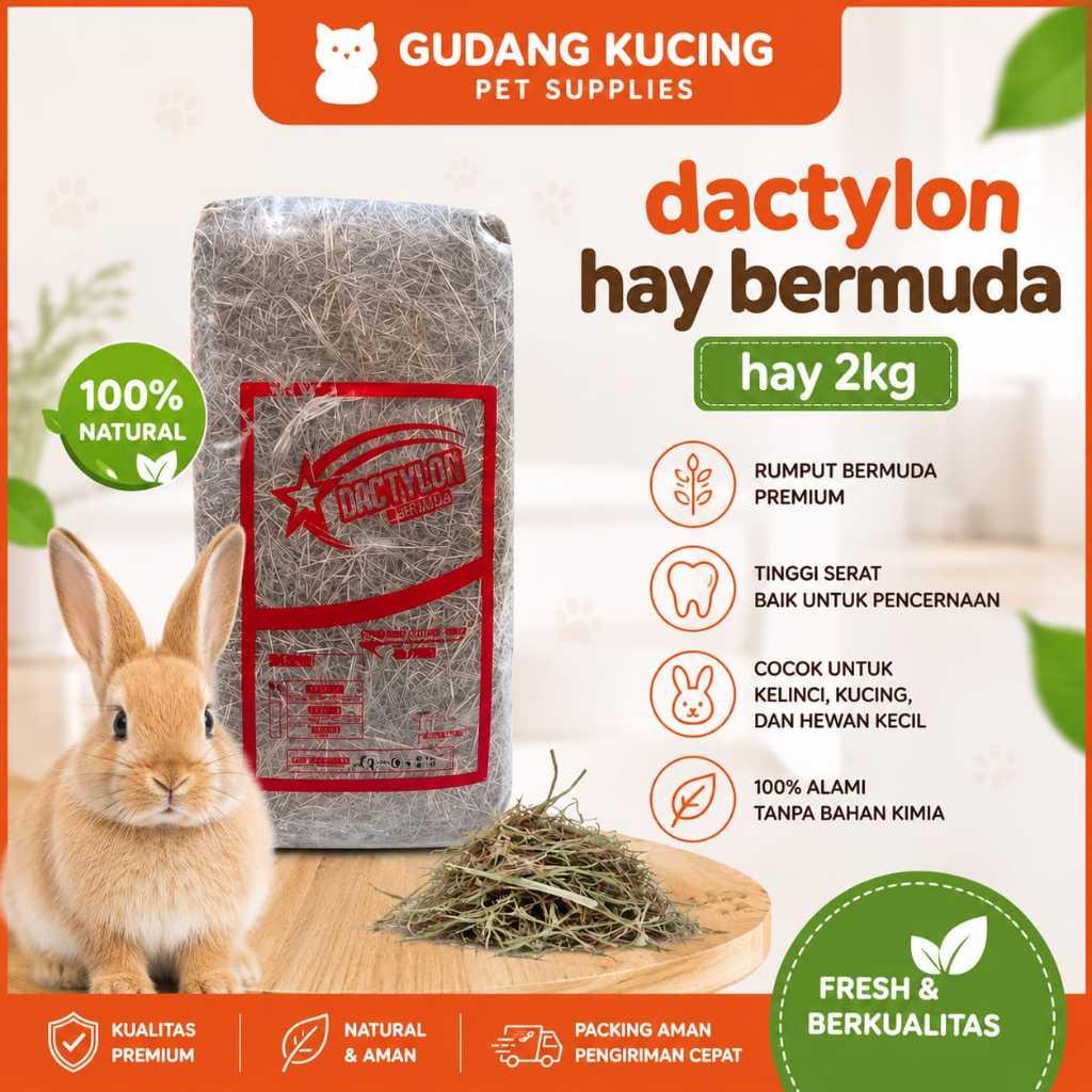 DACTYLON HAY / Rumput Kering Bermuda Pakan Kelinci & Cavy 2kg