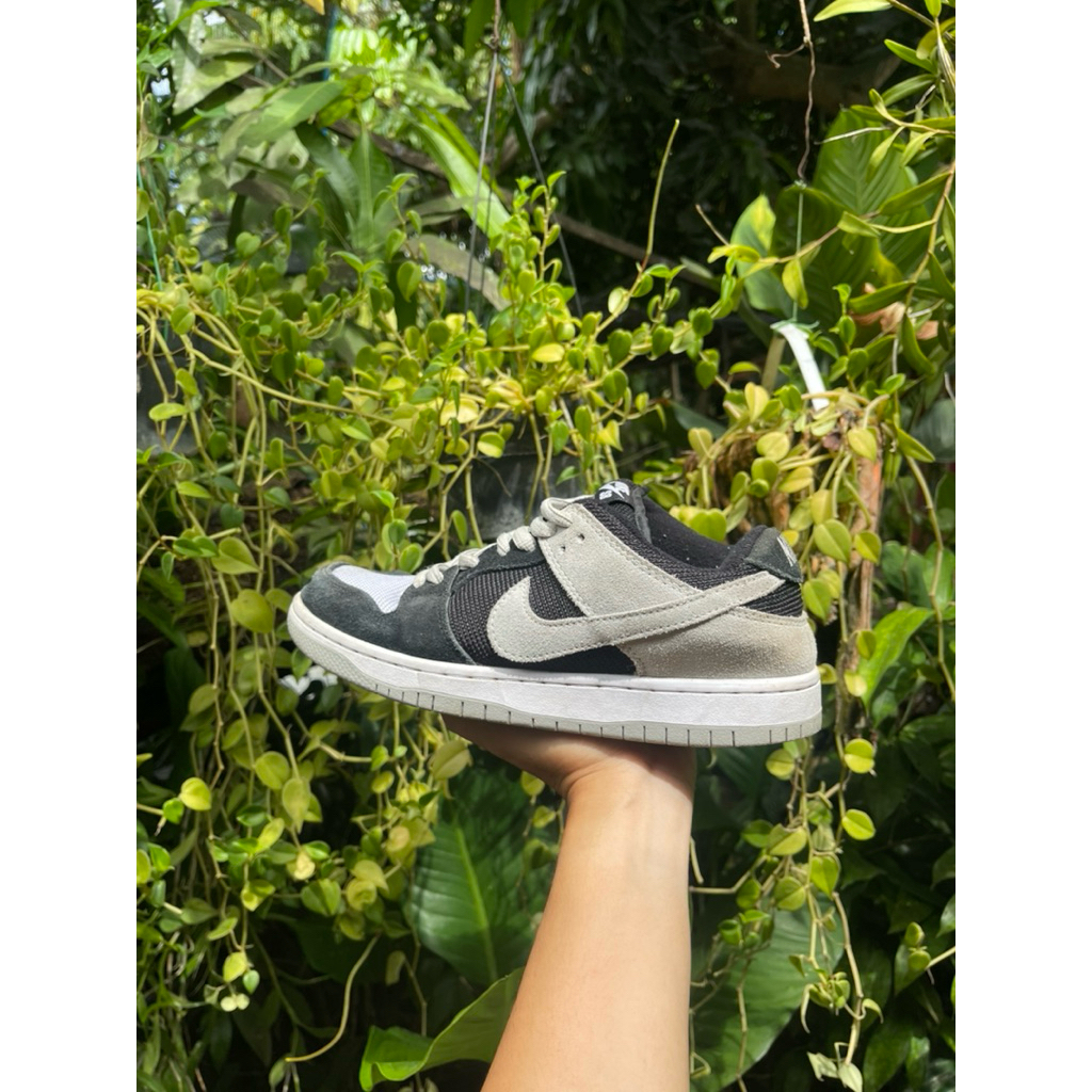 SB Dunk Low Pro