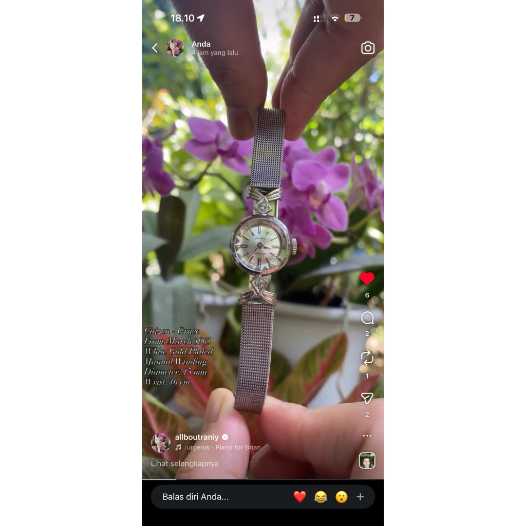 citizen Vintage