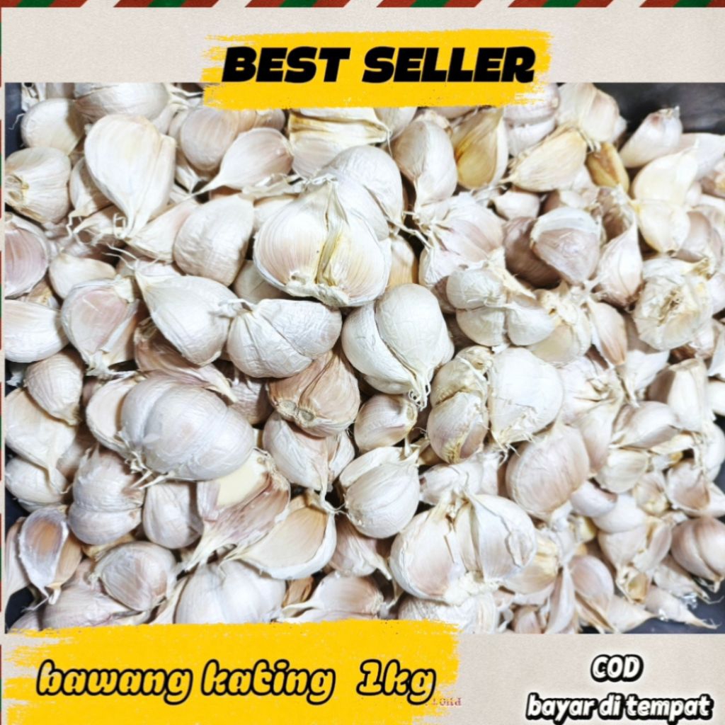 BAWANG PUTIH KATING/BAWANG KATING/BUMBU MASAK BANYAK KHASIATNYA/BAWANG PUTIH KATING
