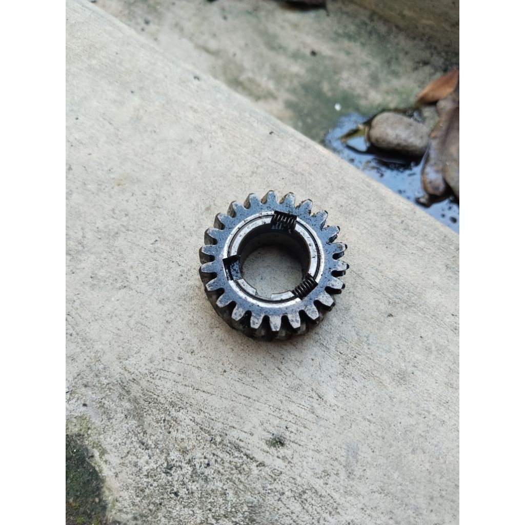 gigi primer shogun sp