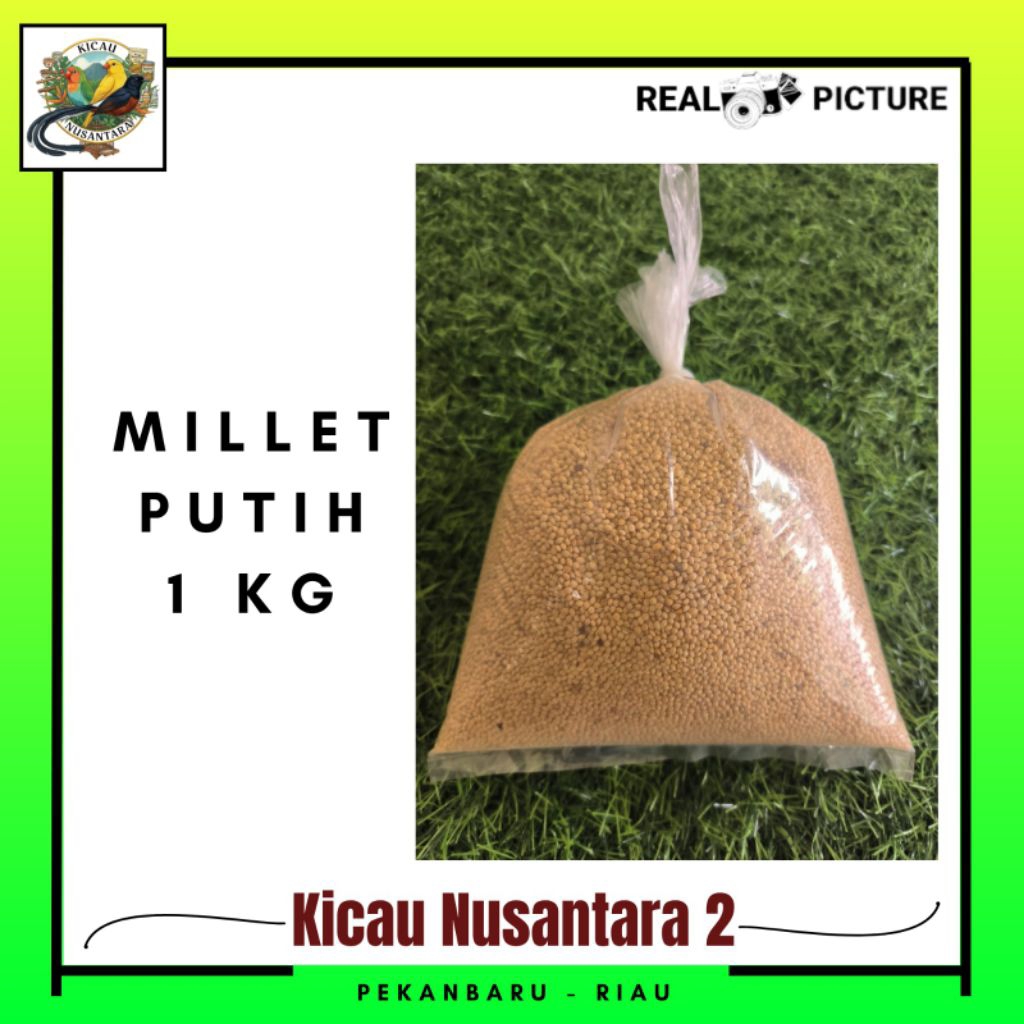 Millet Putih 1 KG Makanan Burung Bird Food