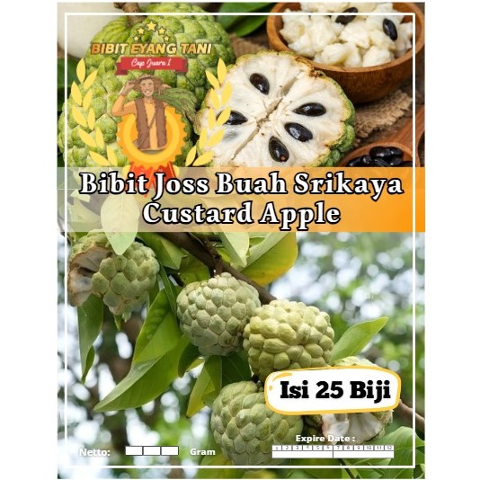 Bibit Joss Buah Srikaya Custard Apple | Biji Benih Buah Srikaya Custard Apple | Buah Srikaya