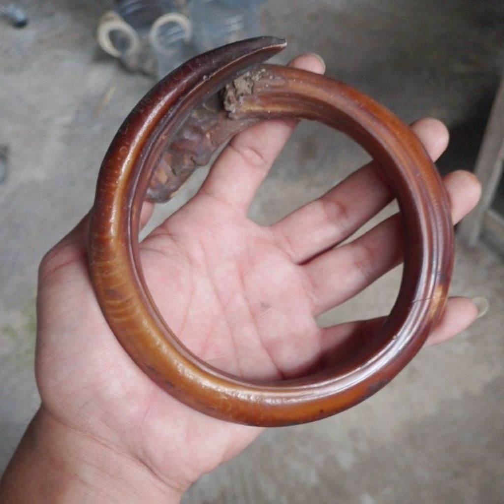 kalung etnik taring melingkar ngurak jumbo