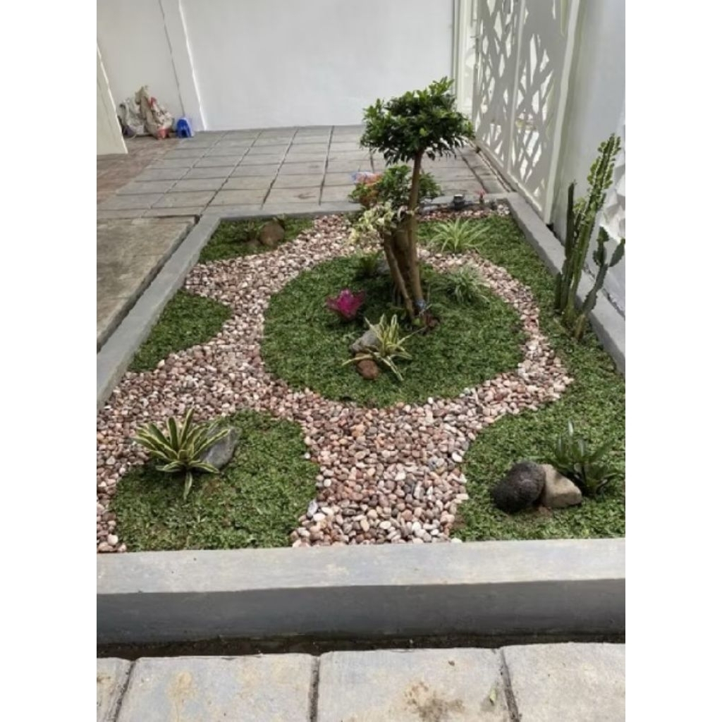Taman bonsai mini elegen/Taman batuan koral/Taman kucai mini