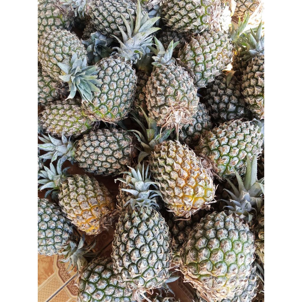 Nanas madu Kelud super, Asli KEDIRI
