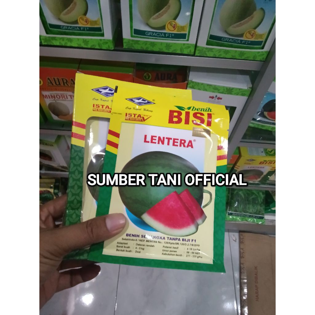 Benih Bibit Semangka Non Biji Lentera F1 (Tahan Virus) Oval Lonjong. isi 20 Gram Kadaluarsa 2026 Ter