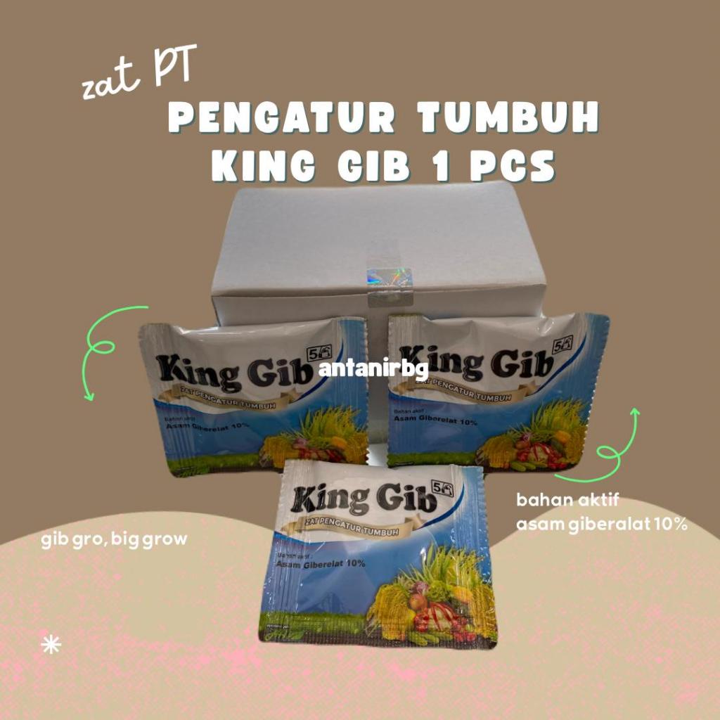 ZAT PT (PENGATUR TUMBUH) ZPT - King Gib - gib gro big grow