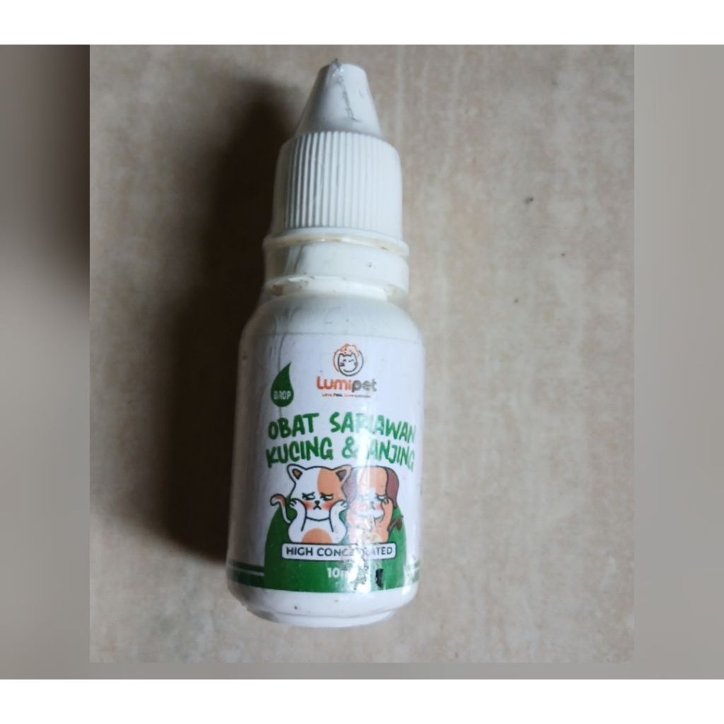 obat sariawan kucing