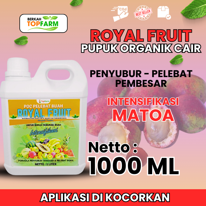 Pupuk Pelebat Buah Matoa / Pupuk Matoa / Pupuk Pembesar Buah Matoa / Pupuk Agar Matoa Cepat Berbuah 