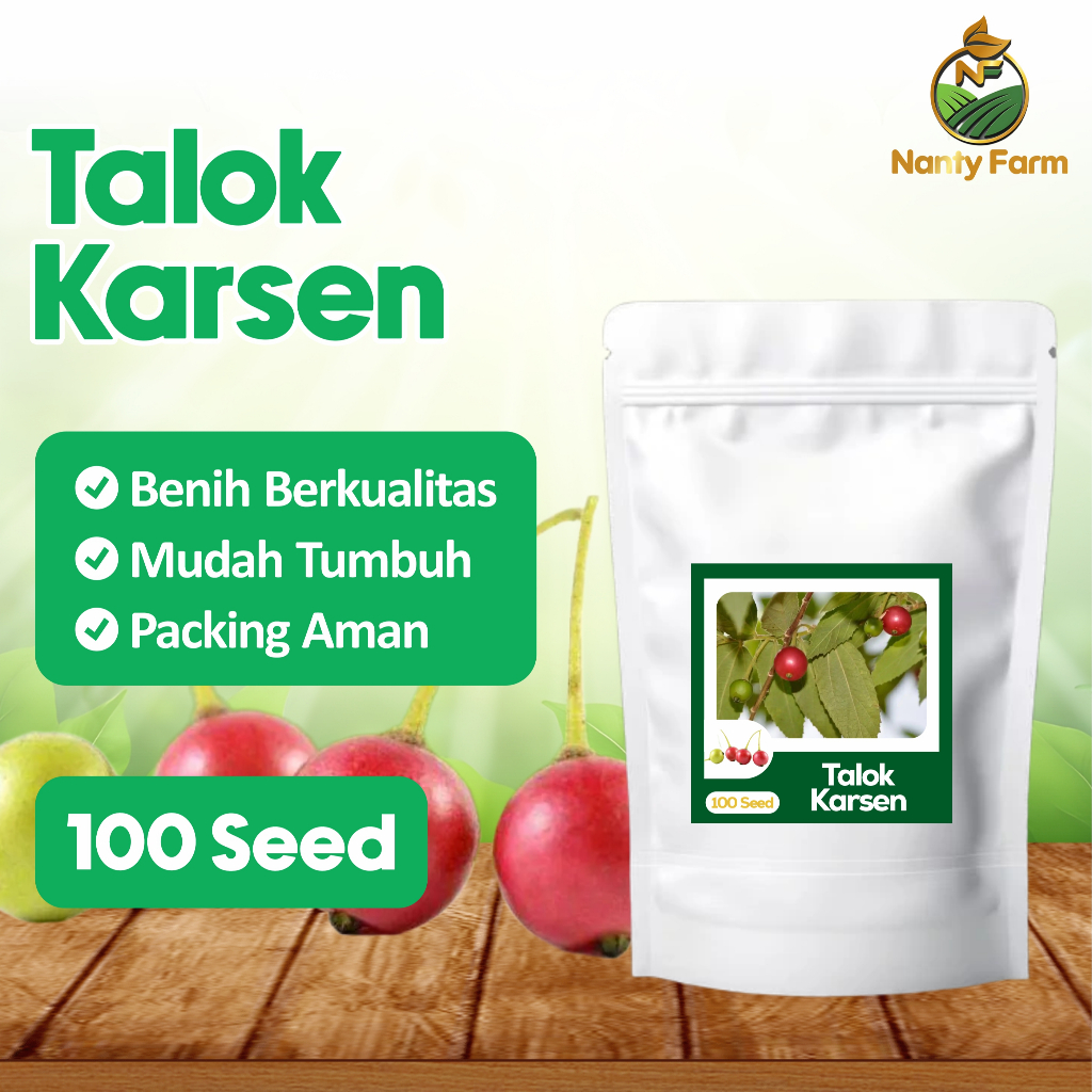 Benih Biji Buah Kersen Talok 100 Biji