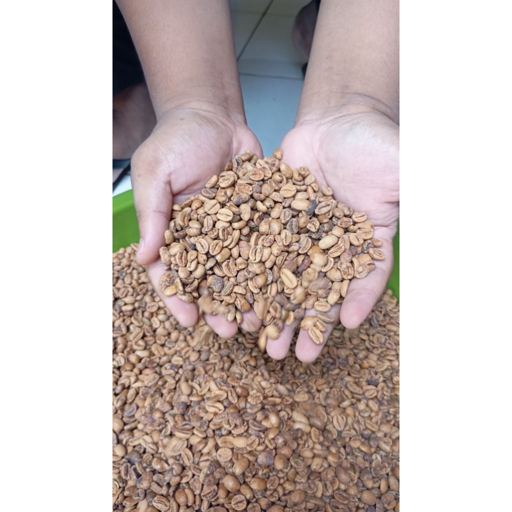 Biji Kopi - Green Bean Arabika Gayo Wine